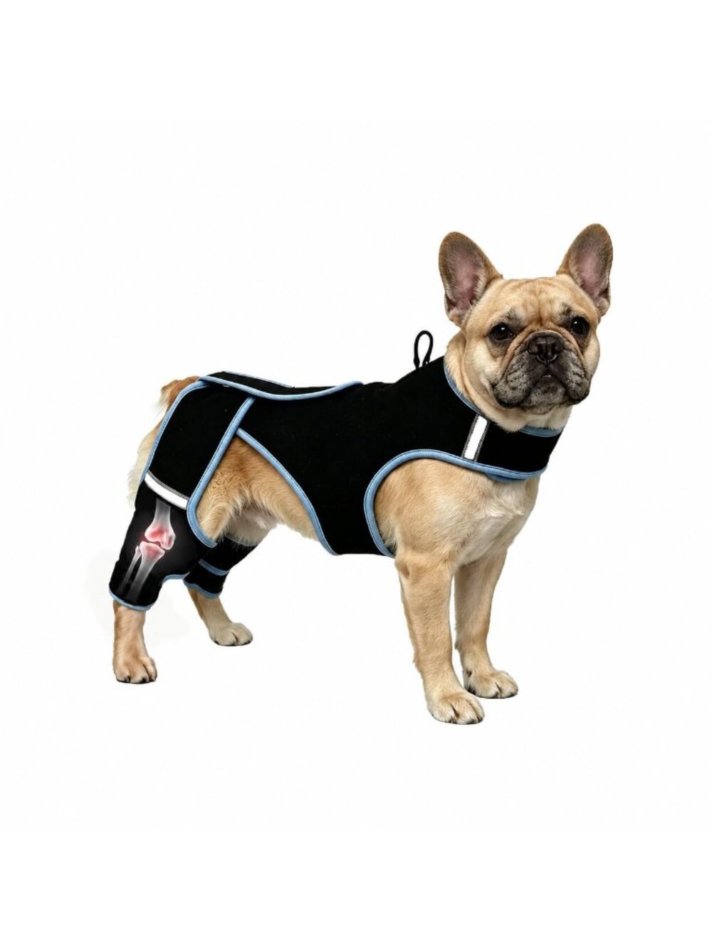 *VEMIRAX Dog Knee Brace, Black, Size M